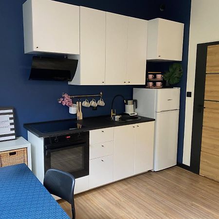 Przytulny I Nowoczesny Apartament Malgosi, 10 Min Pieszo Od Dworca I Galerii Κατοβίτσε Εξωτερικό φωτογραφία