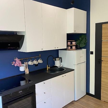 Przytulny I Nowoczesny Apartament Malgosi, 10 Min Pieszo Od Dworca I Galerii Κατοβίτσε Εξωτερικό φωτογραφία