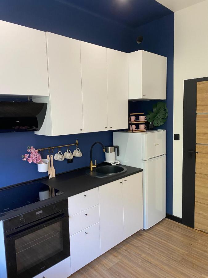 Przytulny I Nowoczesny Apartament Malgosi, 10 Min Pieszo Od Dworca I Galerii Κατοβίτσε Εξωτερικό φωτογραφία